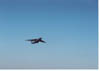 AA-1 First Flight 22